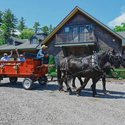 Sunday Stroll at The Preserve Equestrian Training Stables