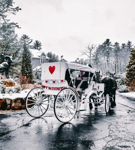 Valentine's Day Carriage Rides 