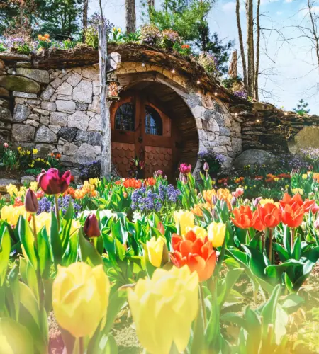 HOBBIT HOUSE Spring Photo Shoot