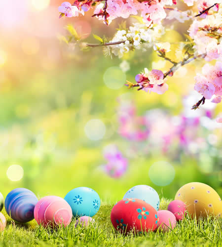 easter egg hunt background