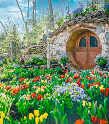 Hobbit House surrounded by vibrant spring tulips for a photo experience.