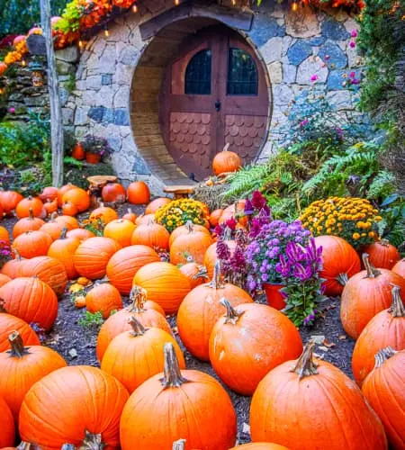 Hobbit House with pumpkins