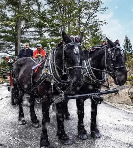 Holiday Brunch and Wagon Spectacular