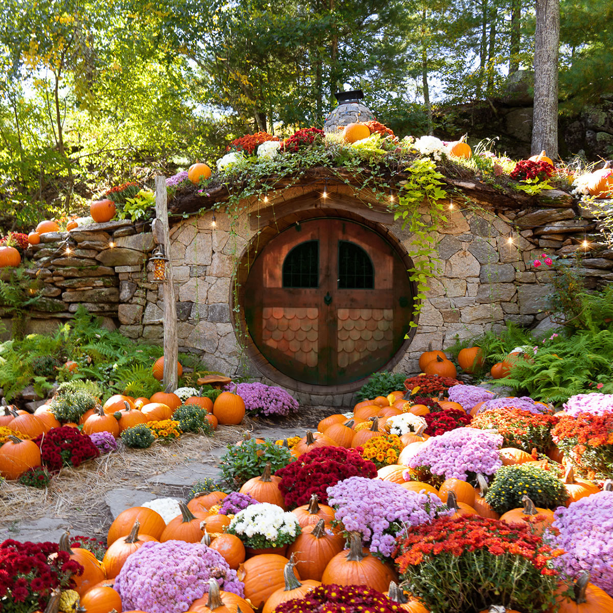 Hobbit House™ Fall Photo Shoot