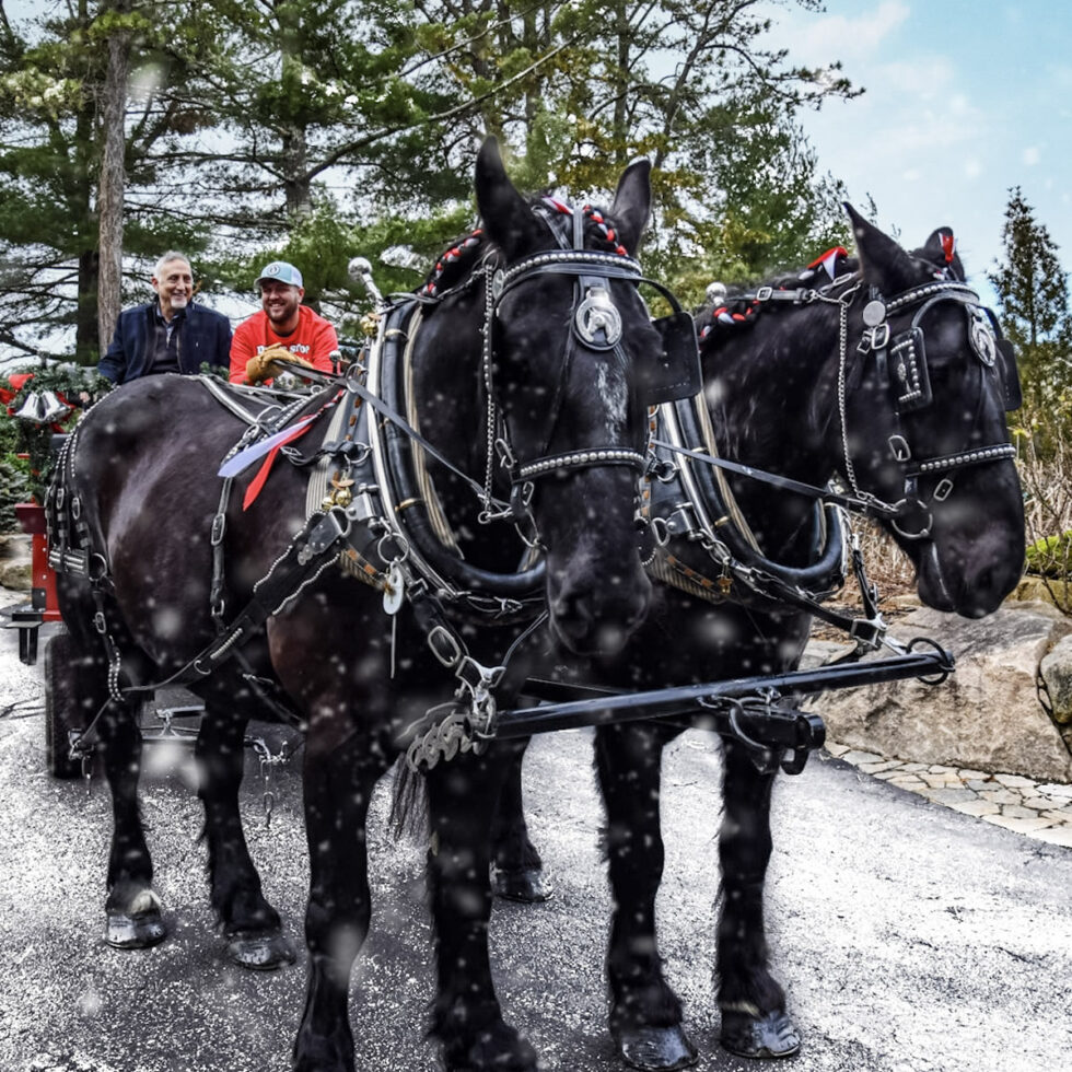 Holiday Brunch and Wagon Spectacular