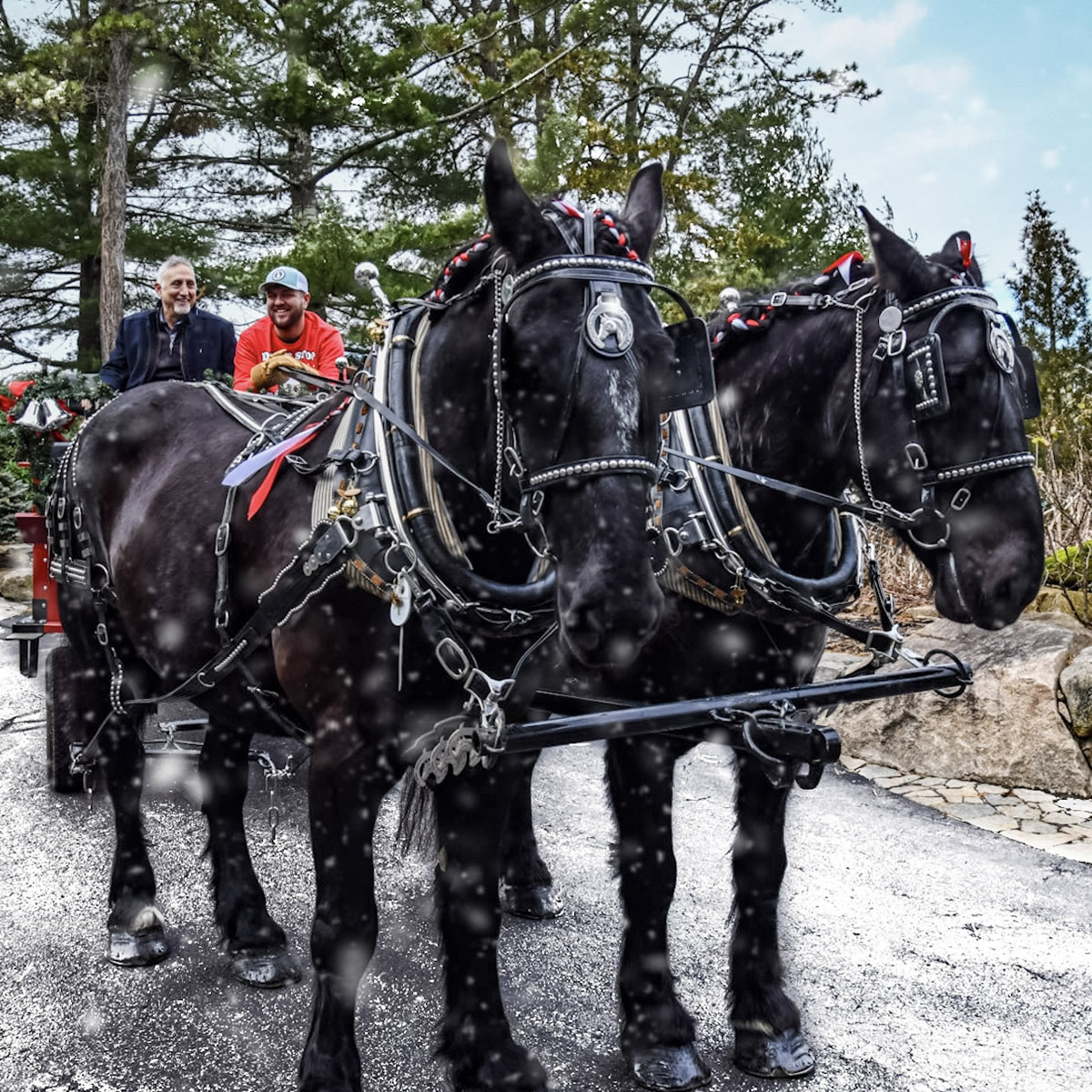 Holiday Brunch and Wagon Spectacular