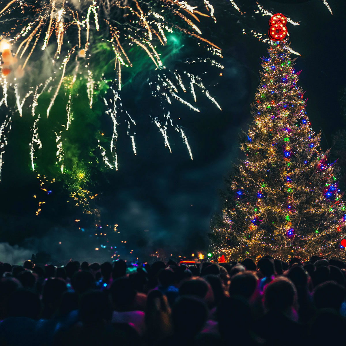 Annual Christmas Tree Lighting The Preserve